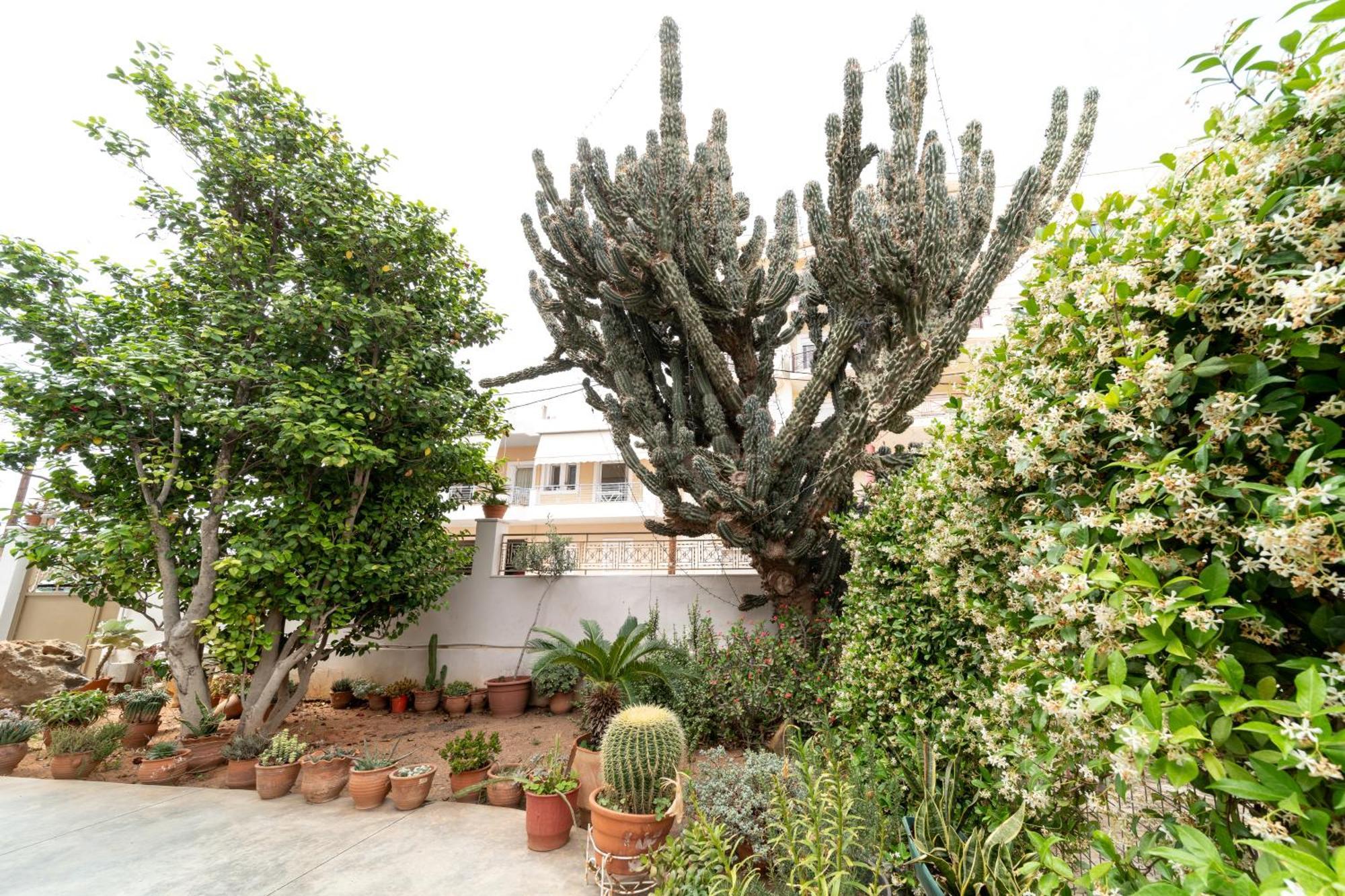 Cactus - Blooming Garden Apartments Kalamata Zewnętrze zdjęcie